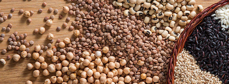 Consulting Services Variety of cereals, pulses and oilseeds  