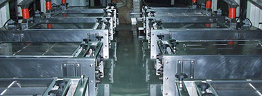 Sorting equipment for peanut processing